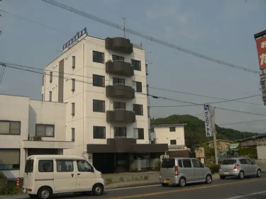 太阳皇家商务酒店 #2
