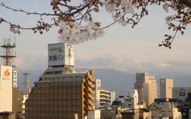 东横Inn 甲府站南口1 #2