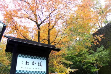 若叶日式旅馆 #2