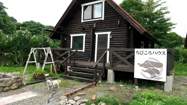 Log Cottage #4