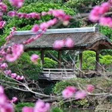大丸旅馆 #2