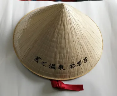 藤七温泉 彩云庄 #2