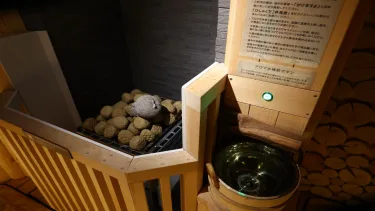 Onyado Nono Matsumoto #4