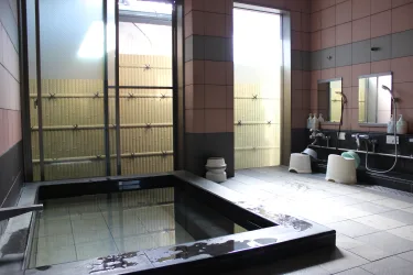 Toyokawa Business Hotel #3