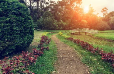 Craigbank Nuwaraeliya #4