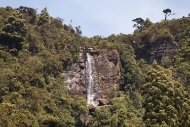 Craigbank Nuwaraeliya #3