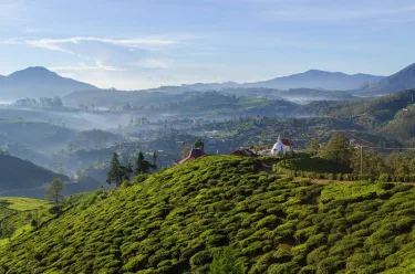 Craigbank Nuwaraeliya #2