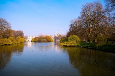 Rooms in Westminster (Central London) #3