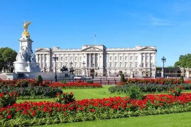 Rooms in Westminster (Central London) #2