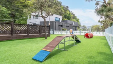 Gapyeong Dangdangi Pet Poolvilla Blue #4