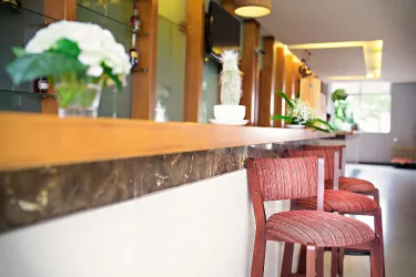 大叻曼青酒店 #5