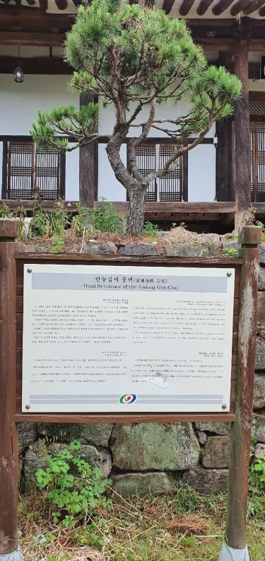 安东养素堂 #3