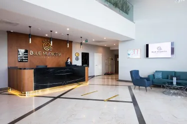 Blue Mudanya Hotel #2