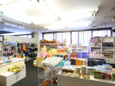 斑尾丝酒店 #3