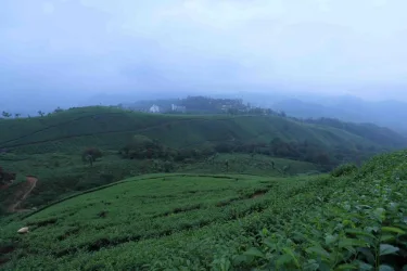 Snow Line Resort,Munnar #4