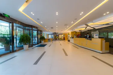 石家庄和平智选假日酒店 - IHG 旗下饭店 #3