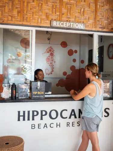Hippocampus #3