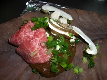 飞驒高山御宿吉野屋 #5