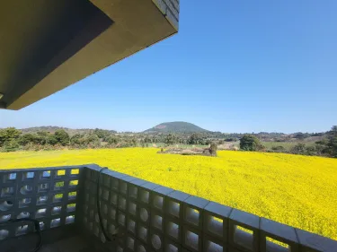 jaeju gyeongyoung pension #5