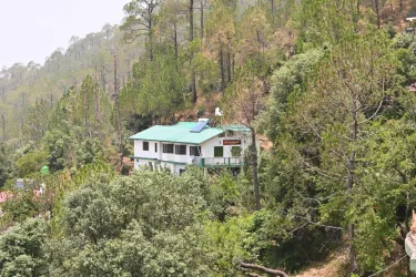 Wood Castle Luxury Home Stay #4