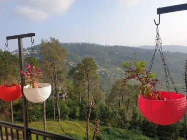Wood Castle Luxury Home Stay #3