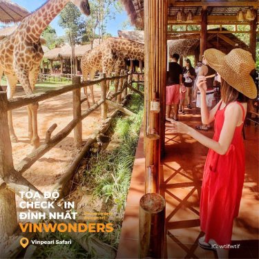 Starfish Homestay Grand World Phu Quoc #3