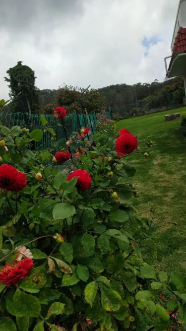 Forest View Banglow Kodaikanal #3