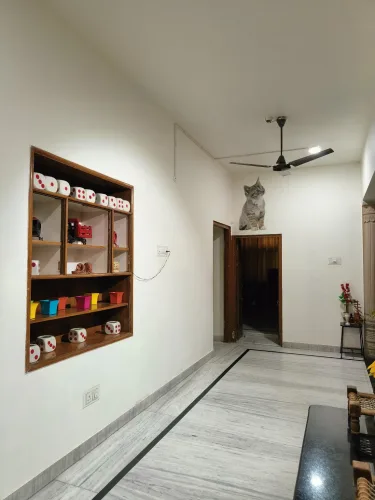Ohh Hostler Jaipur #2