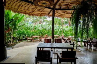 Earth Elements Eco Resort #2