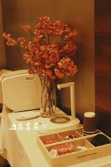 成都雅诗阁来福士 #4