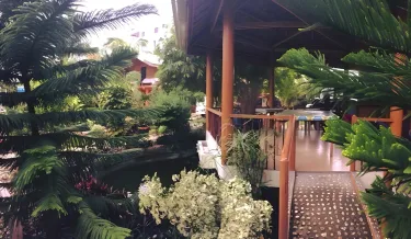 新村山林小屋 #2