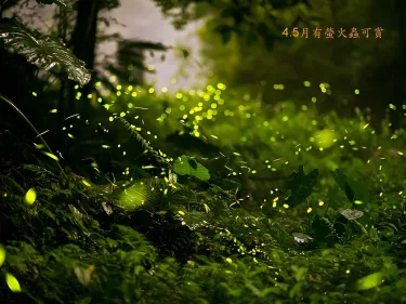 美学山庄 #2