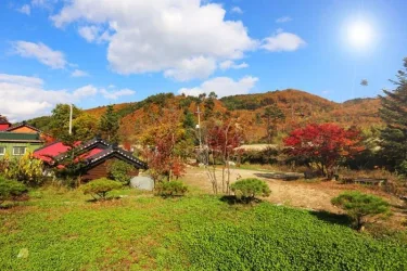 Pyeongchang Pyeongchang Pension Maeul #3