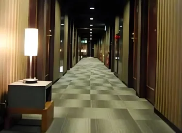 平冢站前Livemax酒店 #4