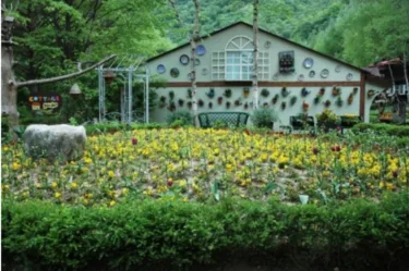 Pyeongchang Daegwallyeong House Pension #4