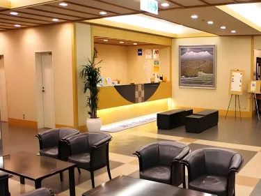 汤元白金温泉酒店 #2