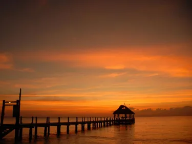 Secrets Aura Cozumel (adults-only) #5