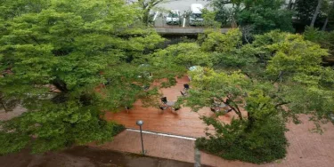 Hokuriku Yamanaka Onsen Hanatsubaki #3