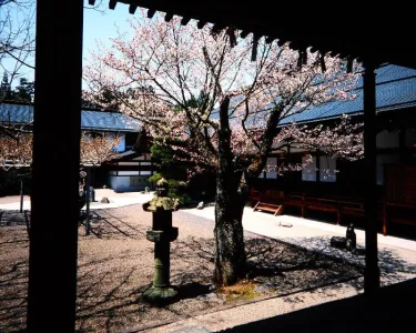总持院 #5