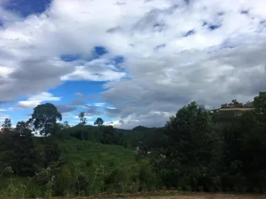 休憩营绿山酒店 #5
