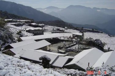 阿里山渊明居山庄 #5