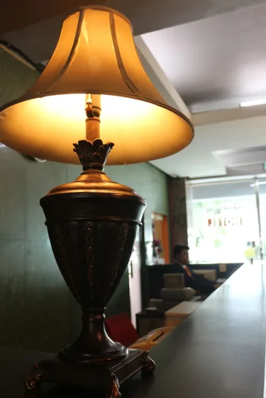 苏邦谷酒店 #3