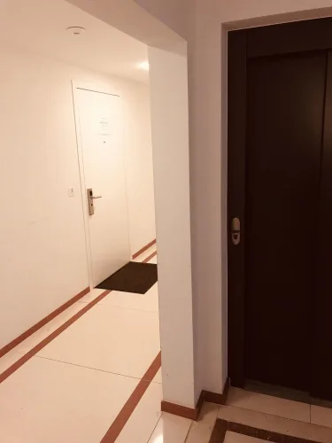 苏黎世捏德多夫格罗斯公寓 #2