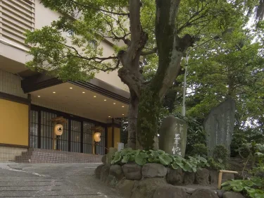 汤宿一番地 #2