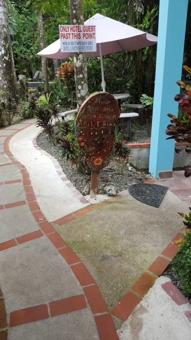 Hotel La Posada and Jungle #5