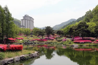 江村乐园酒店 #2