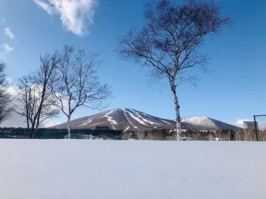 Appi美丽生活民宿 #3