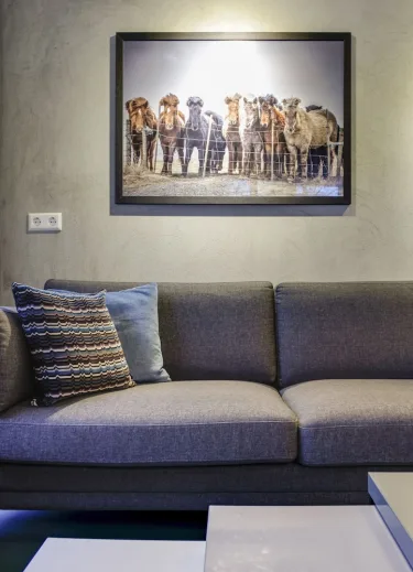 Freyja Guesthouse & Suites #2