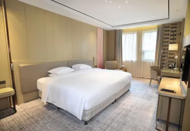 上海国际旅游度假区万怡酒店 #3