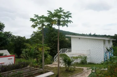 北冲白石度假村 #2